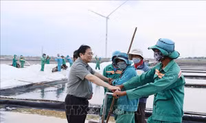 Thủ tướng Phạm Minh Chính thăm một số cơ sở kinh tế, xã hội, quốc phòng tại Ninh Thuận