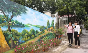 Độc đáo những con đường bích họa tại Ninh Bình