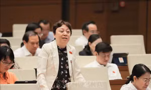 Đề xuất 'thanh tra đột xuất nhiều hơn thanh tra kế hoạch'