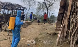 Cao Bằng: Khẩn trương khoanh vùng các trường hợp tiếp xúc với bệnh nhân bạch hầu