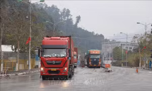 Khôi phục toàn diện hoạt động xuất nhập khẩu, xuất nhập cảnh qua Cửa khẩu Hữu Nghị 