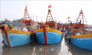 Khắc phục 'thẻ vàng' IUU: Siết chặt quản lý đội tàu, kiểm soát sản lượng khai thác