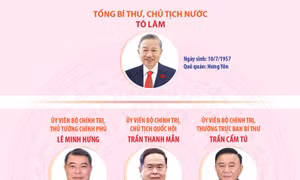 Lãnh đạo chủ chốt và lãnh đạo các Ban Đảng Trung ương khóa XIV