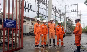 Phê duyệt Đề án cơ cấu lại EVN giai đoạn đến hết năm 2025