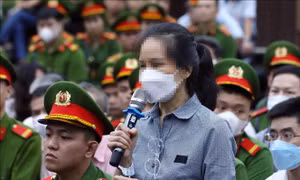 Nhìn lại phiên tòa 'Chuyến bay giải cứu' - Bài cuối: Từ chuyển biến nhận thức đến phân hóa tội phạm