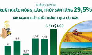 Tháng 1/2026: Xuất khẩu nông, lâm, thủy sản tăng 29,5%