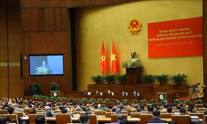 Phát huy truyền thống văn hóa mỗi địa phương để xây dựng con người Việt Nam toàn diện 