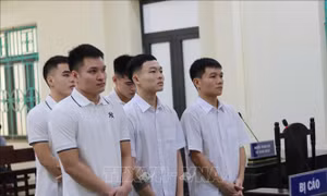 Bản án thích đáng cho 5 cầu thủ bóng đá tổ chức sử dụng trái phép chất ma túy