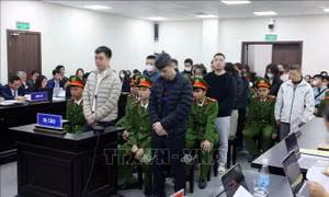 Vụ sữa giả tại Z Holding: Lập quỹ nội bộ để phân bổ nguồn 'rửa tiền'