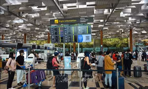 Singapore thận trọng khôi phục vận tải hàng không với Trung Quốc