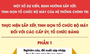 Dự kiến sắp xếp, tinh gọn tổ chức bộ máy đối với các cấp ủy, tổ chức đảng