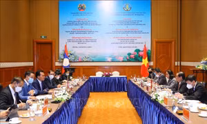 Việt Nam - Lào thúc đẩy hợp tác phát triển nông lâm nghiệp