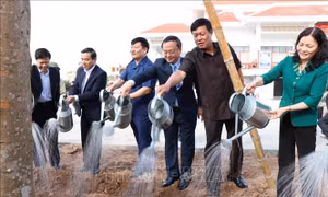 Nhiều hoạt động thiết thực mừng Xuân Kỷ Hợi 2019 