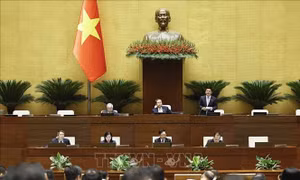 Thông cáo báo chí số 11, Kỳ họp không thường lệ thứ Nhất, Quốc hội khóa XVI