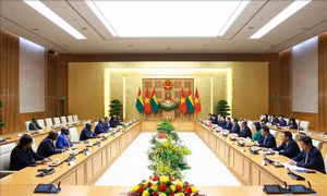 Thủ tướng Phạm Minh Chính hội kiến Tổng thống Guinea-Bissau