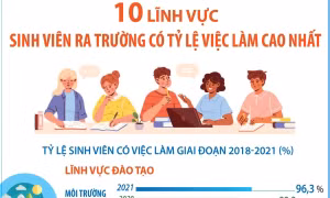 10 lĩnh vực sinh viên ra trường có tỷ lệ việc làm cao nhất