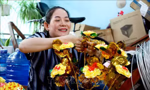 Người làm hoa tài lộc ở Cần Thơ tất bật ngày cuối năm