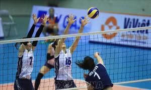 Khai mạc Giải bóng chuyền nữ Quốc tế Cup LienVietPostBank năm 2019