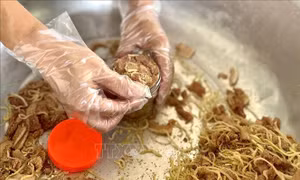 Du lịch làng nghề 'đánh thức' tiềm năng sẵn có nơi đất Tổ