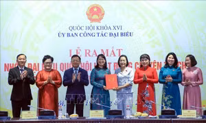 Phát huy vai trò nòng cốt của đại biểu Quốc hội chuyên trách ở địa phương