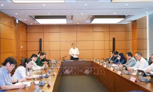 Tạo nền tảng vững chắc cho con đường phát triển của đất nước