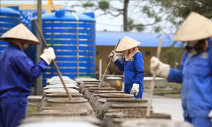 Để ngành sản xuất nước mắm truyền thống có động lực phát triển 