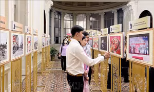 Triển lãm tư liệu, hình ảnh đẹp về Danh nhân Văn hóa Nguyễn Đình Chiểu