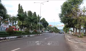 Xuân về trên vùng biên giới Chư Prông
