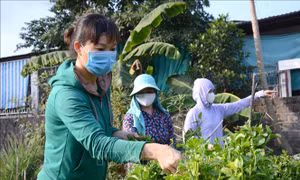 Nếp sống 'xanh' của những người vợ lính 