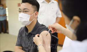 Bộ Y tế: Đẩy nhanh tốc độ tiêm phòng COVID-19, không được lãng phí vaccine 