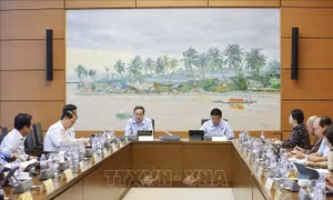 Đổi mới hơn nữa trong tư duy xây dựng pháp luật
