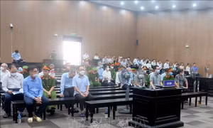Xét xử cựu lãnh đạo Bình Dương: Vai trò đồng phạm rõ rệt của các bị cáo tham ô