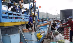 Giá dầu hạ nhiệt, ngư dân tái khởi động mùa biển mới