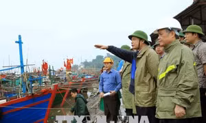 Yêu cầu rà soát, đảm bảo an toàn cho các tuyến đê biển do hoàn lưu bão gây mưa lớn