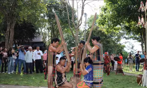 50 năm vang mãi tiếng chày trên sóc Bom Bo