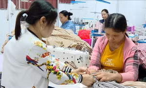 Mái nhà 'Ước vọng xanh' của người khuyết tật