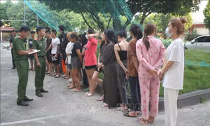 Xử lý hàng chục đối tượng tụ tập sử dụng trái phép chất ma túy trong khách sạn