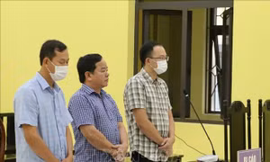 Làm giả tài liệu của cơ quan, tổ chức: Hai cán bộ cùng lĩnh 3 năm tù