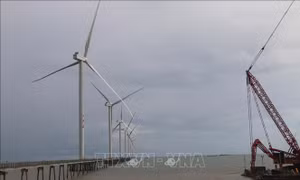 Trà Vinh sẽ có thêm 4 công trình điện gió hòa vào lưới điện quốc gia