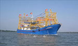 Hội Nghề cá Việt Nam: Sát cánh cùng nông - ngư dân