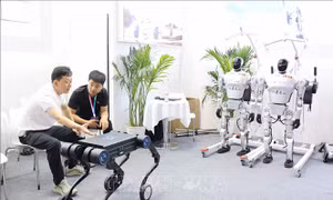 Trung Quốc mở 'trại huấn luyện' robot trên toàn quốc