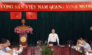 Chấn chỉnh tình trạng xe hợp đồng trá hình tại TP Hồ Chí Minh