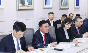 Phát huy hiệu quả cơ chế Đối thoại Chiến lược Việt Nam - Singapore