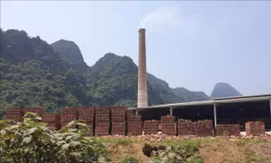 Nhà máy Bình An sản xuất 'chui' gạch tuynel vẫn chưa bị đình chỉ