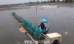 Top 6 dự án lọt vào chung kết cuộc thi khởi nghiệp quốc gia 2018