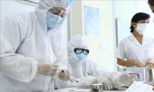  Vững vàng trước thách thức, ASEAN nắm chắc thời cơ mới