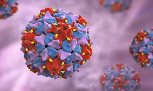 Australia phát hiện virus bại liệt trong nước thải sau hơn nửa thế kỷ