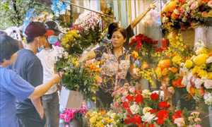 Hoa, quả tươi đắt khách ngày 20/10