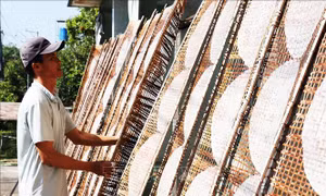Làng nghề bánh tráng nhộn nhịp sản xuất phục vụ Tết