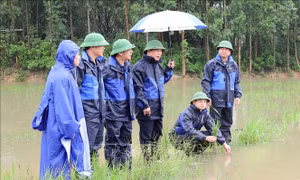 Bắc Ninh khẩn trương khôi phục sản xuất sau mưa lũ